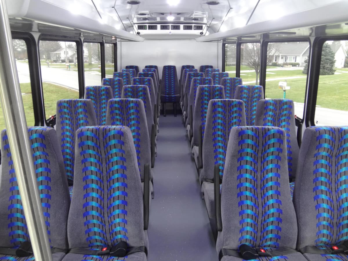 Glaval Entourage Image - GL23206-10a